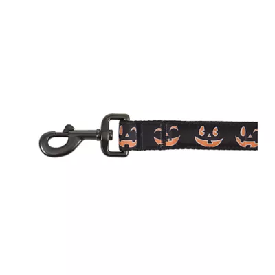 Product Thrills & Chills® LED Black Pumpkin Dog Leash 4' x 1"
