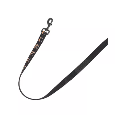 Product Thrills & Chills® LED Black Pumpkin Dog Leash 4' x 1"