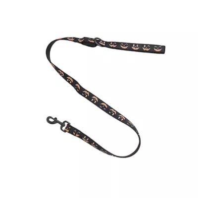 Product Thrills & Chills® LED Black Pumpkin Dog Leash 4' x 1"