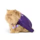 Product Thrills & Chills® Boo Cape