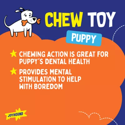 Product Joyhound® Chew Well® Lion Flatte Dog Toy
