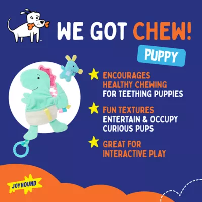 Product Joyhound® Chew Well® Dinosaur Flattie Dog Chew Toy