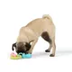 Product Joyhound® Chew Well® Puppy Chew Toy