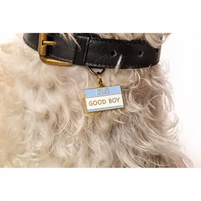Product Two Tails Pet Company 'Good Boy' Pet ID Tag