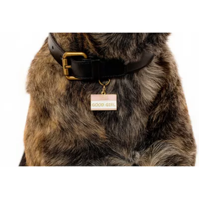 Product Two Tails Pet Company 'Good Girl' Pet ID Tag