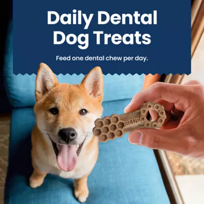 Product Blue Buffalo All Life Stages Large Dental Chews - Chicken & Spearmint