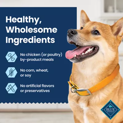 Product Blue Buffalo All Life Stages Large Dental Chews - Chicken & Spearmint