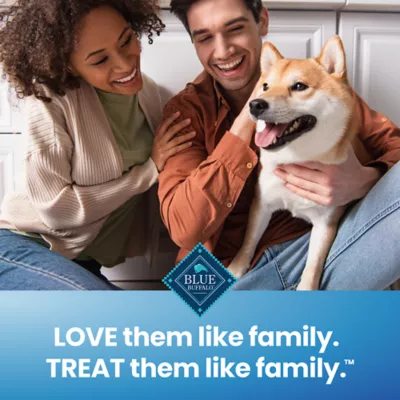 Product Blue Buffalo All Life Stages Large Dental Chews - Chicken & Spearmint