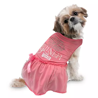 Product Wicked Pink Glinda Dress