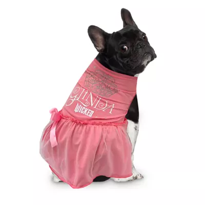 Product Wicked Pink Glinda Dress