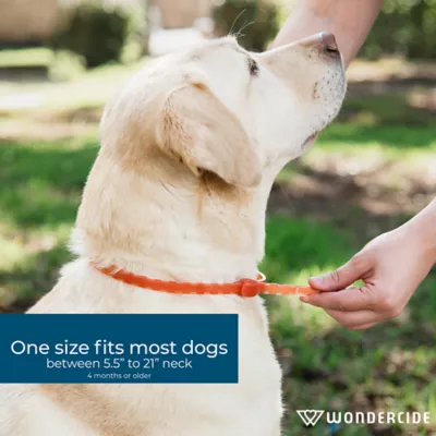 Product Wondercide Dog Natural Flea & Tick Peppermint Collar
