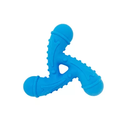 Product Spunky Pup Gnaw Guard Star Dog Toy