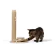 Product Whisker City® Scratching Post and Duo Ball Track