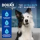 Product DOUXO® Skin & Coat SPA - Ultra - Safe Dewaxing Ear Cleaner for Dogs and Cats