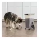 Product IRIS, 37.5 Lbs. Airtight Pet Food Container - Dog & Cat Food Storage Bin with Scoop