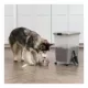 Product IRIS, 54 Lbs. Airtight Pet Food Container - Dog & Cat Food Storage Bin with Scoop