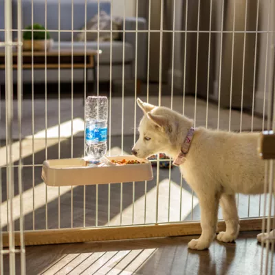Product IRIS, Pet Crate Water Feeder, Beige