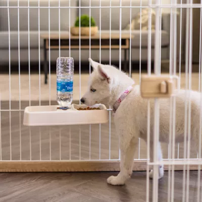 Product IRIS, Pet Crate Water Feeder, Beige