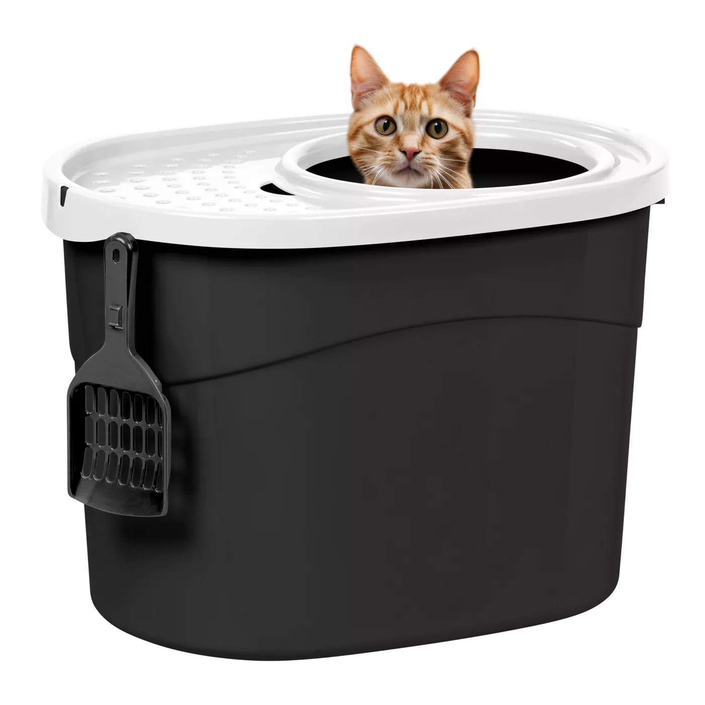 Top entry litter box