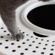 Product IRIS, Large Top Entry Cat Litter Box with Litter Catching Lid & Scoop - Enclosed Design