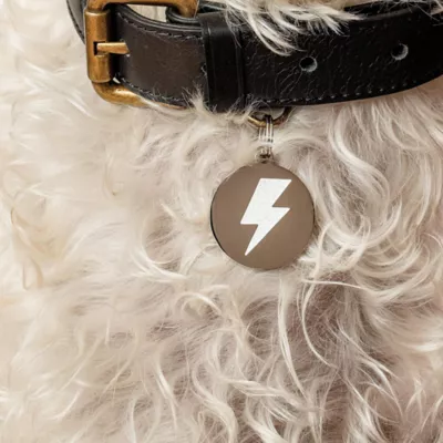 Product Two Tails Pet Company 'Lightning Bolt' Pet ID Tag