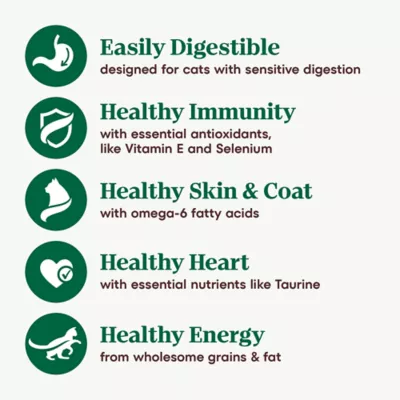 Product Nutro Adult Dry Cat Food Wholesome Essentials Sensitive Stomach - Chicken, Rice & Peas, 1.36 kg