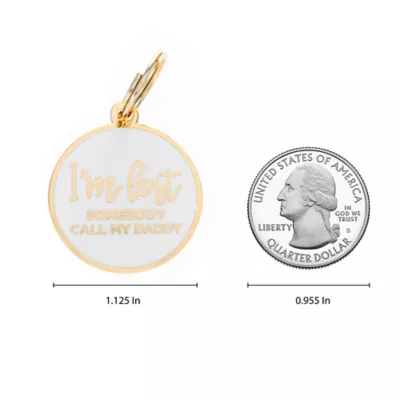 Product Two Tails Pet Company 'I'm Lost, Somebody Call My Daddy' Pet ID Tag