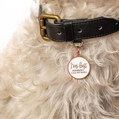 Product Two Tails Pet Company 'I'm Lost, Somebody Call My Mama' Pet ID Tag