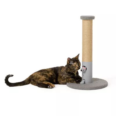 Product Whisker City® Peeking Mouse Scratching Post