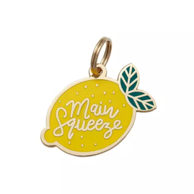 Product Two Tails Pet Company 'Main Squeeze' Pet ID Tag