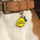 Product Two Tails Pet Company 'Main Squeeze' Pet ID Tag