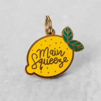 Product Two Tails Pet Company 'Main Squeeze' Pet ID Tag