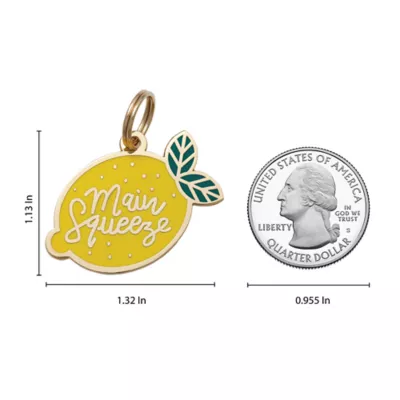 Product Two Tails Pet Company 'Main Squeeze' Pet ID Tag