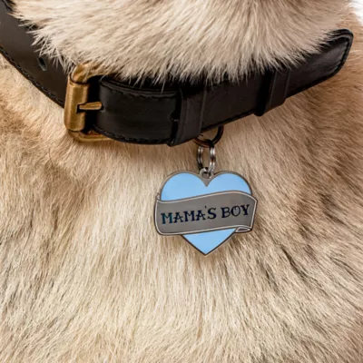 Product Two Tails Pet Company 'Mama's Boy' Pet ID Tag