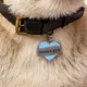 Product Two Tails Pet Company 'Mama's Boy' Pet ID Tag