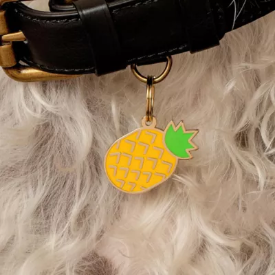 Product Two Tails Pet Company Pineapple Pet ID Tag