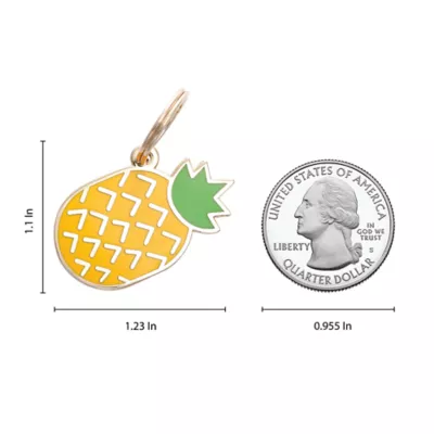 Product Two Tails Pet Company Pineapple Pet ID Tag
