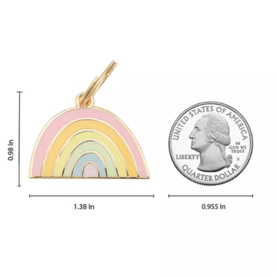Product Two Tails Pet Company Rainbow Pet ID Tag