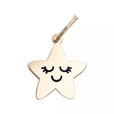 Product Two Tails Pet Company Smiling Star Pet ID Tag