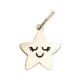 Product Two Tails Pet Company Smiling Star Pet ID Tag