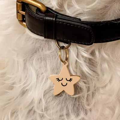 Product Two Tails Pet Company Smiling Star Pet ID Tag