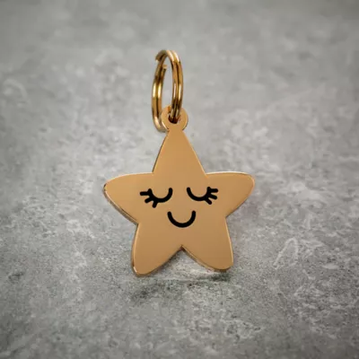 Product Two Tails Pet Company Smiling Star Pet ID Tag