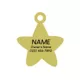 Product Two Tails Pet Company Smiling Star Pet ID Tag