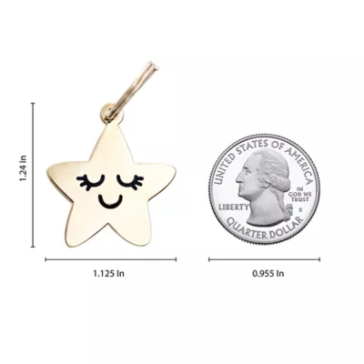 Product Two Tails Pet Company Smiling Star Pet ID Tag
