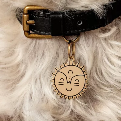 Product Two Tails Pet Company Smiling Sun Pet ID Tag