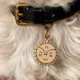 Product Two Tails Pet Company Smiling Sun Pet ID Tag