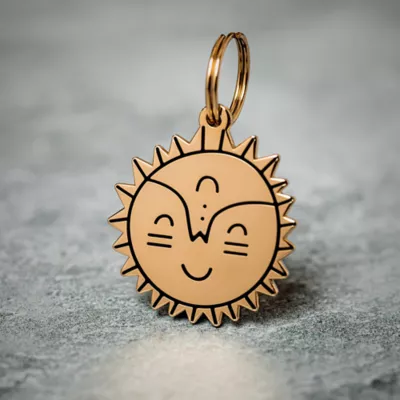 Product Two Tails Pet Company Smiling Sun Pet ID Tag