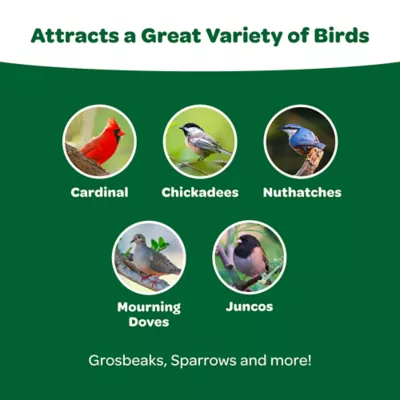 Product KAYTEE® Wild Bird Food