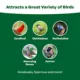 Product KAYTEE® Wild Bird Food