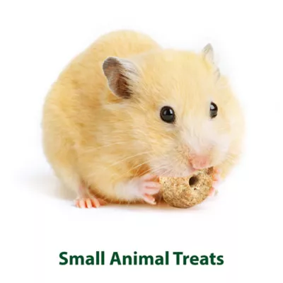 Product Kaytee Timothy Biscuits Baked with Carrot Small Animal Treat